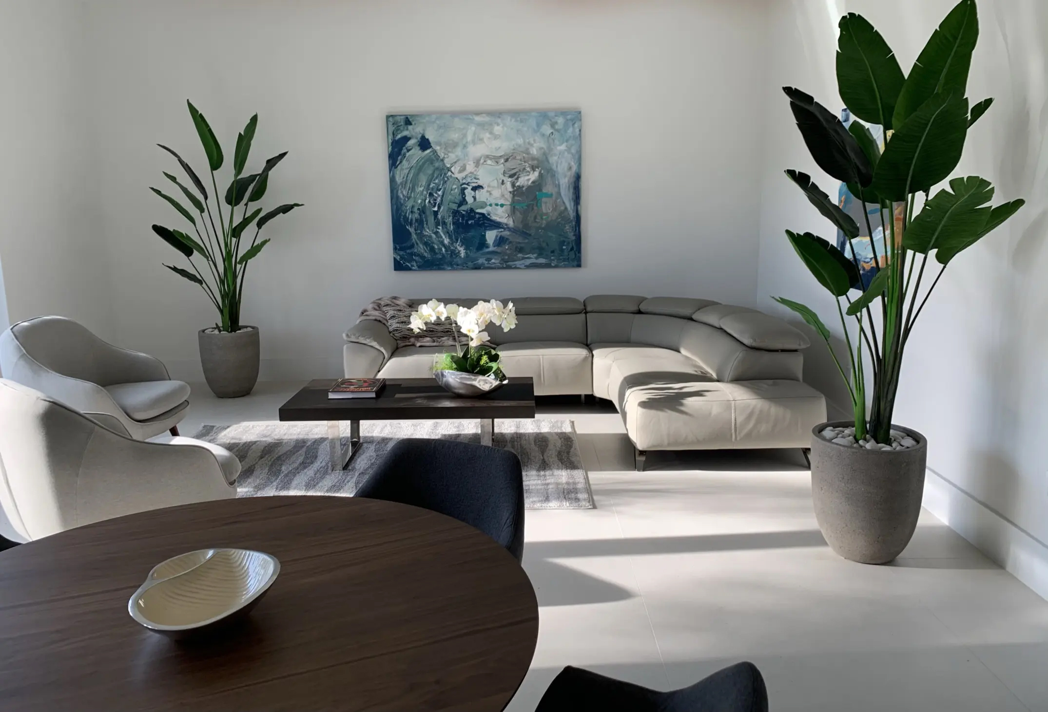 Living Room Spaces and Design